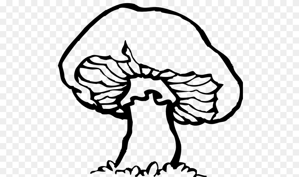 Mushroom Clipart Black And White Nice Clip Art, Gray Free Png