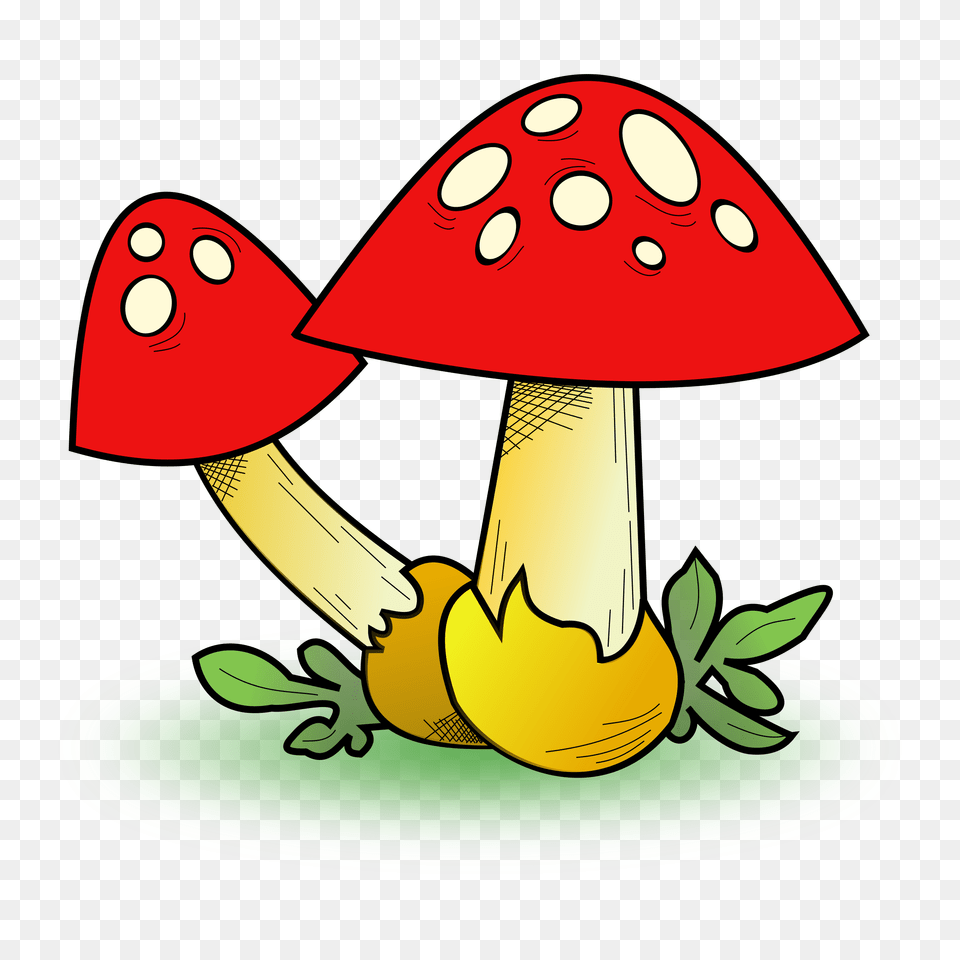 Mushroom Clipart Fungus, Plant, Agaric, Animal, Fish Png Image