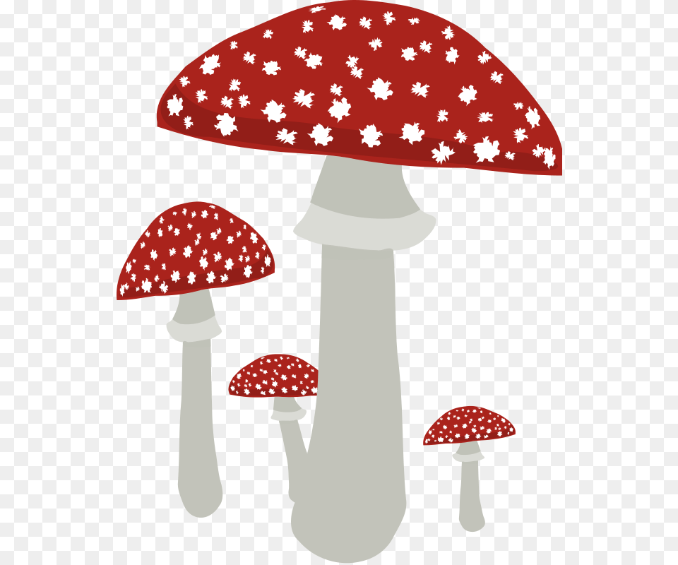 Mushroom Clipart Fungus Clipart Mushrooms No Background, Agaric, Amanita, Plant Png Image