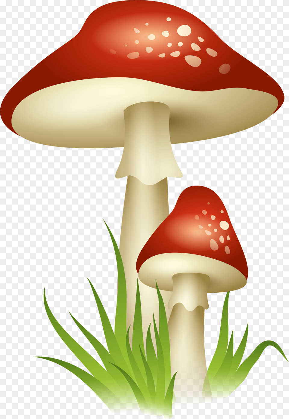 Mushroom Clipart Agaric, Amanita, Fungus, Plant Free Transparent Png