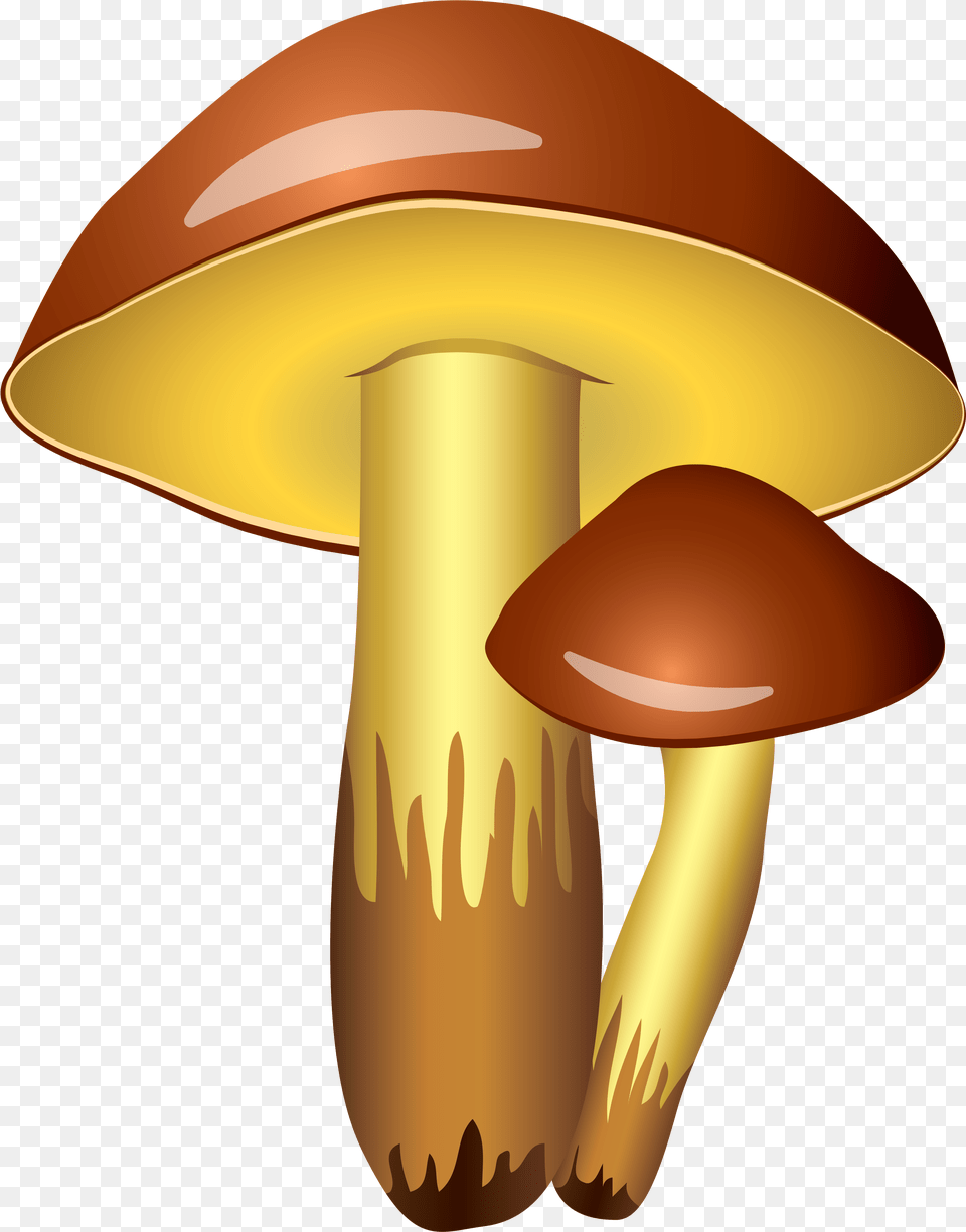 Mushroom Clipart Background Clipart Mushroom, Fungus, Plant, Agaric, Amanita Free Transparent Png