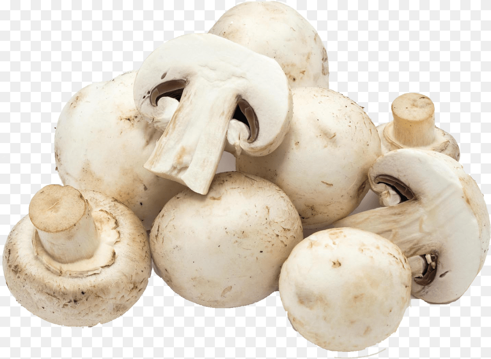 Mushroom Download White Mushroom, Fungus, Plant, Agaric, Amanita Free Png