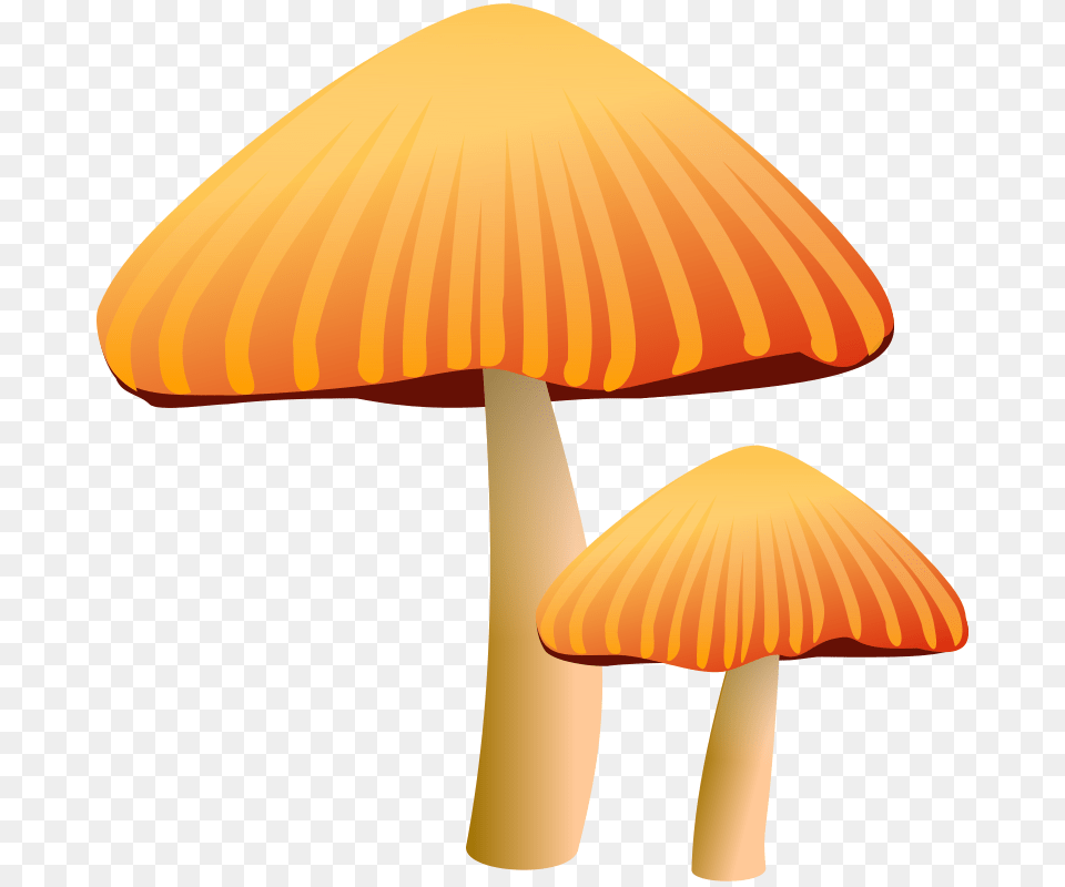 Mushroom Free To Use Clip Art, Agaric, Amanita, Fungus, Plant Png