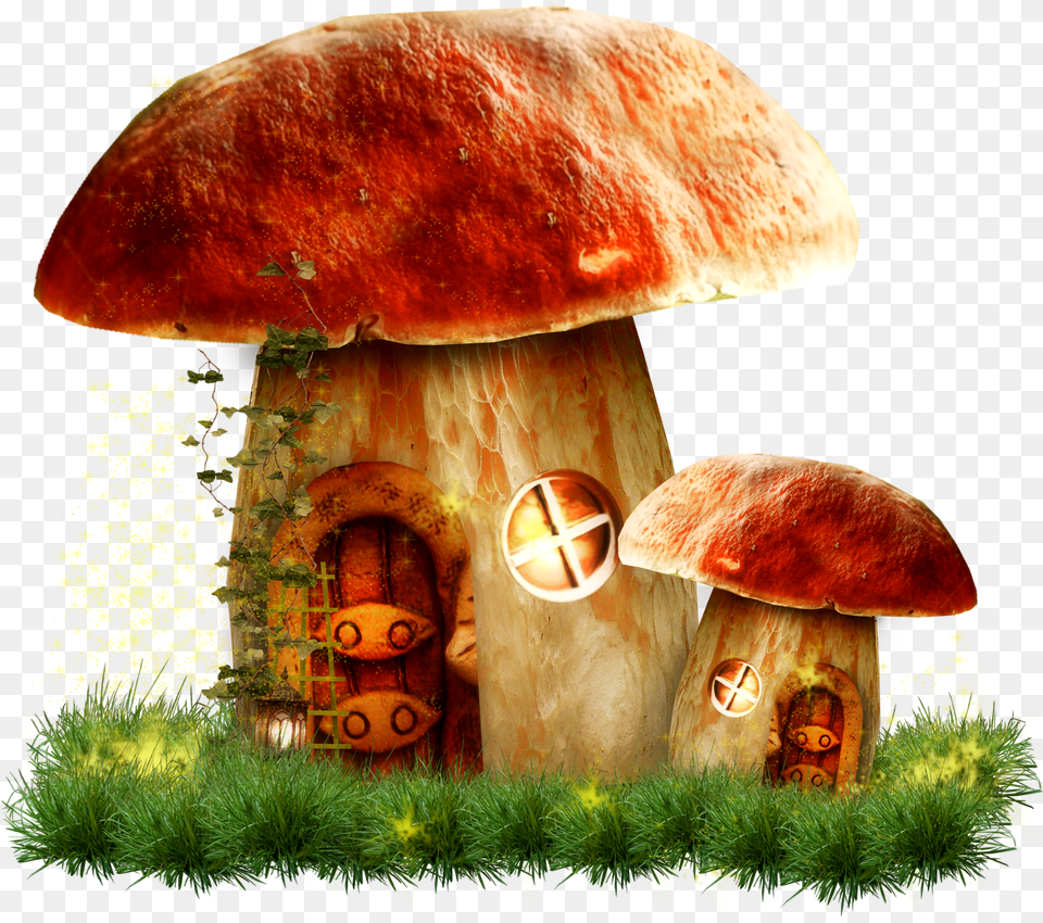 Mushroom House Png