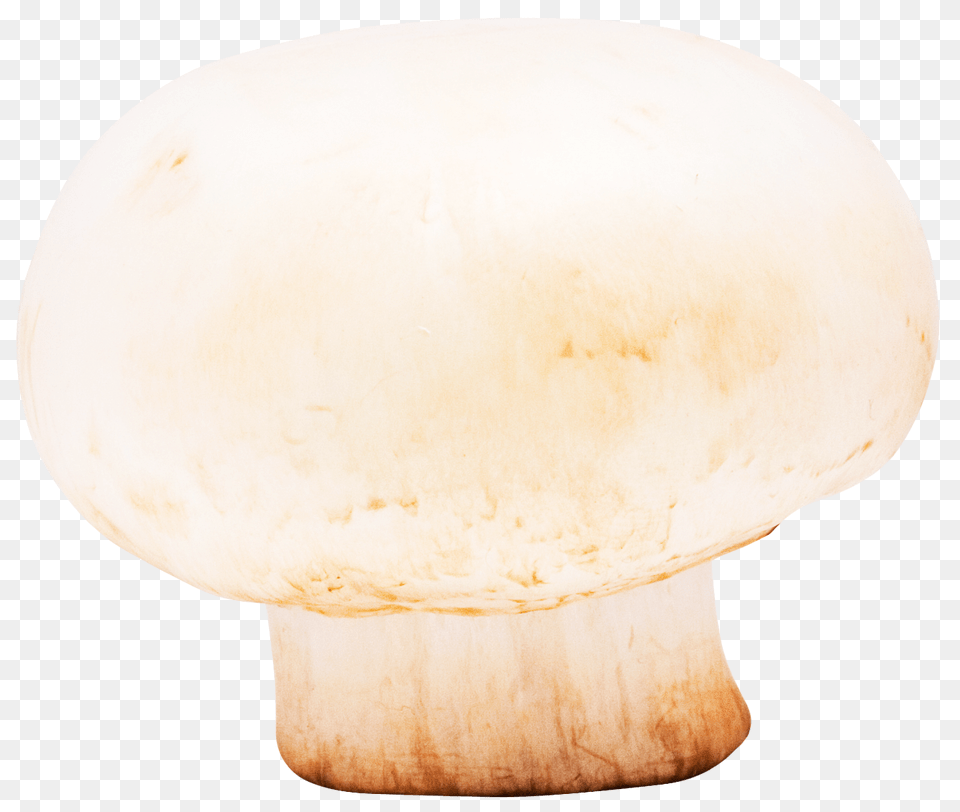 Mushroom Image, Fungus, Plant, Egg, Food Free Png