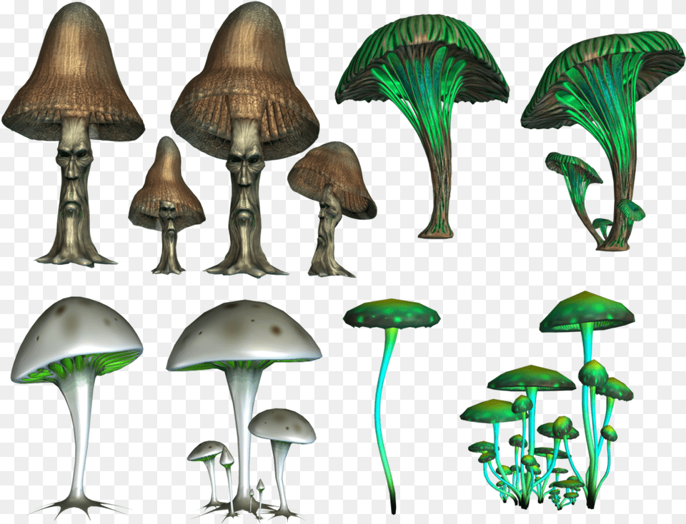 Mushroom Image Arts Psilocybin Mushrooms, Plant, Fungus, Agaric, Amanita Free Png Download