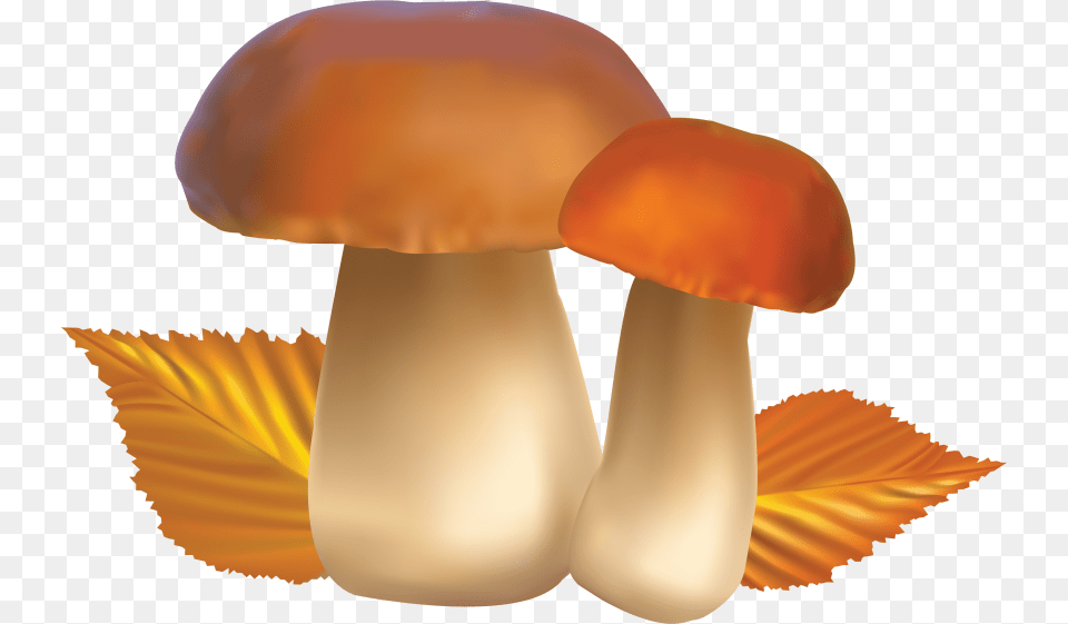 Mushroom Images Mushrooms Clipart, Fungus, Plant, Agaric, Amanita Png