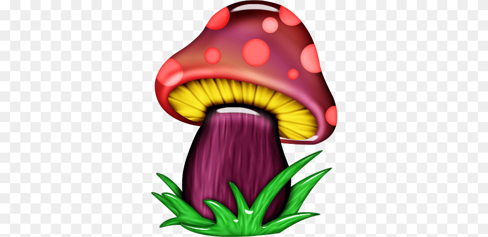 Mushroom Kavanoz Mushrooms Mushroom House, Fungus, Plant, Agaric Png Image