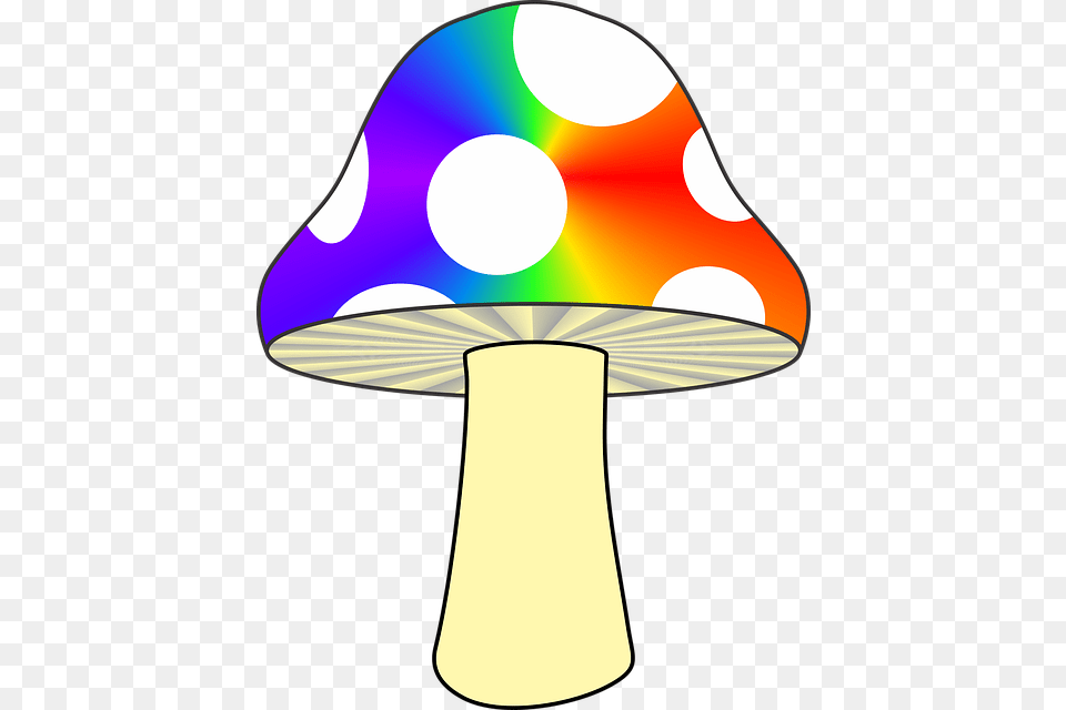 Mushroom Nature Colorful Mushroom Rainbow Psychedelia, Lamp, Lampshade, Disk, Fungus Free Png Download