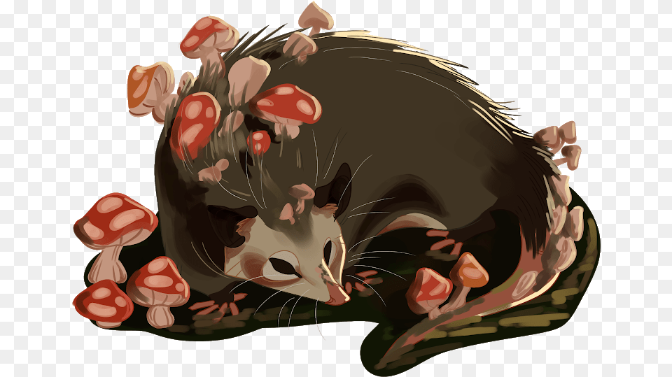 Mushroom Opossum Illustration Opossum Illustration, Animal, Mammal, Wildlife, Birthday Cake Free Png