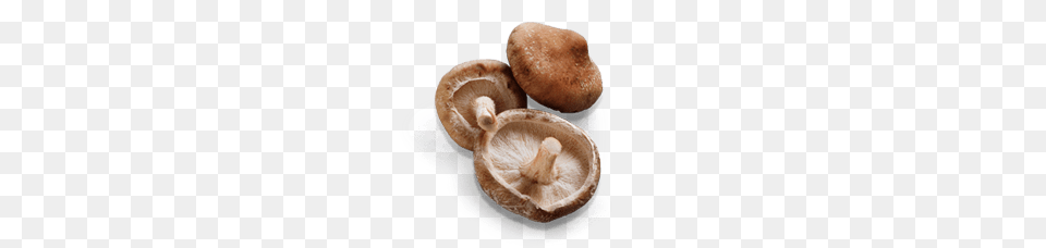 Mushroom Shiitake, Agaric, Fungus, Plant, Bread Free Png Download