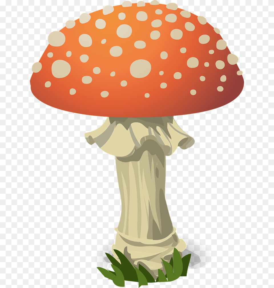 Mushroom To Use Clip Art, Agaric, Amanita, Fungus, Plant Free Png