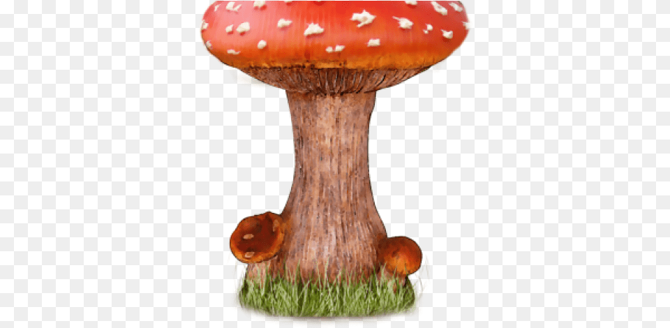 Mushroom Transparent Images Amanita Mushroom, Agaric, Fungus, Plant Png