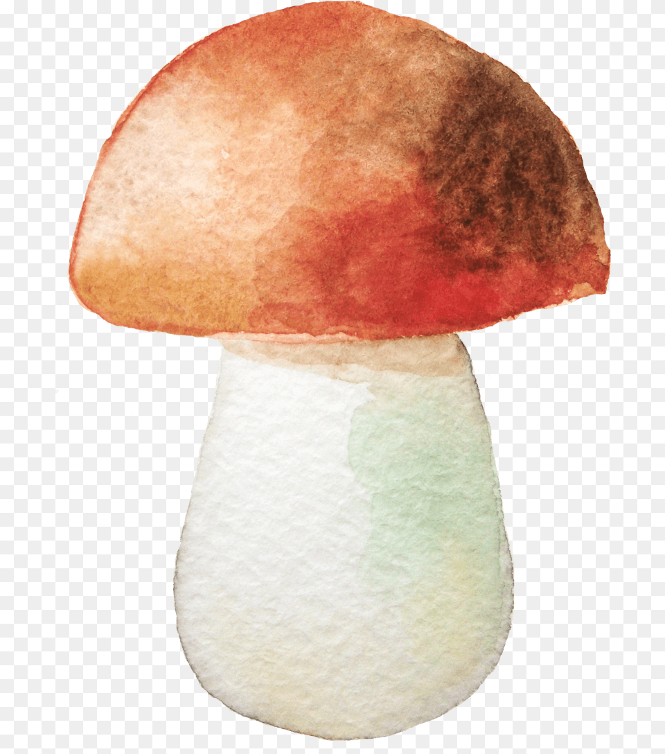 Mushroom Watercolor, Fungus, Plant, Agaric, Amanita Free Transparent Png