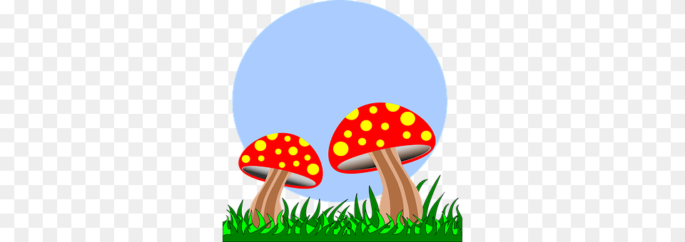 Mushrooms Agaric, Fungus, Mushroom, Plant Free Png Download