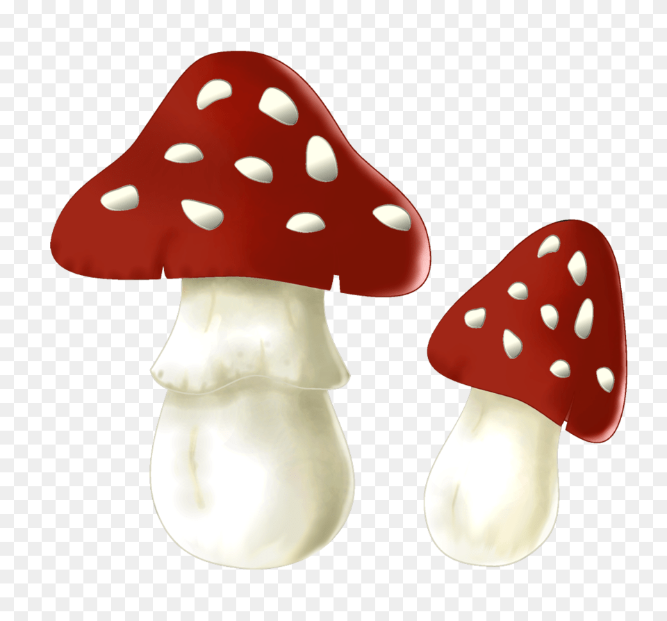 Mushrooms, Agaric, Fungus, Mushroom, Plant Png Image