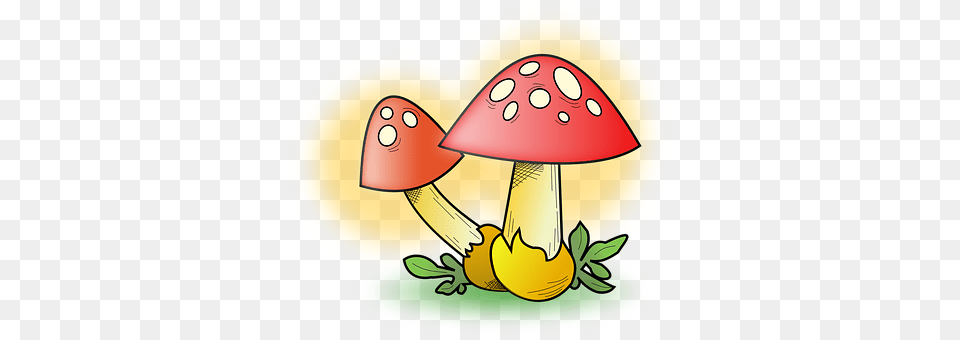 Mushrooms Agaric, Fungus, Mushroom, Plant Free Png
