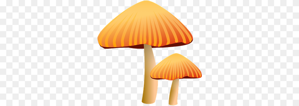 Mushrooms Agaric, Amanita, Fungus, Mushroom Png
