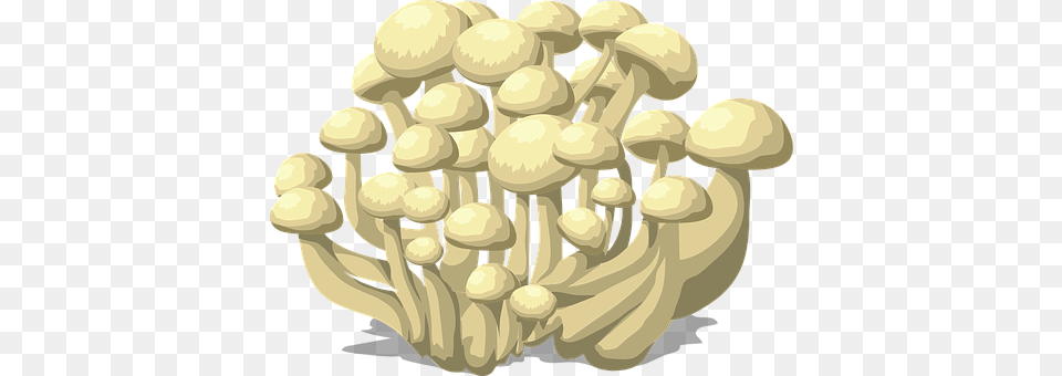 Mushrooms Chandelier, Lamp, Fungus, Plant Free Transparent Png