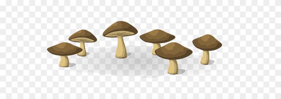 Mushrooms Fungus, Plant, Mushroom, Agaric Free Png