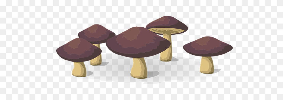 Mushrooms Fungus, Plant, Agaric, Mushroom Free Transparent Png