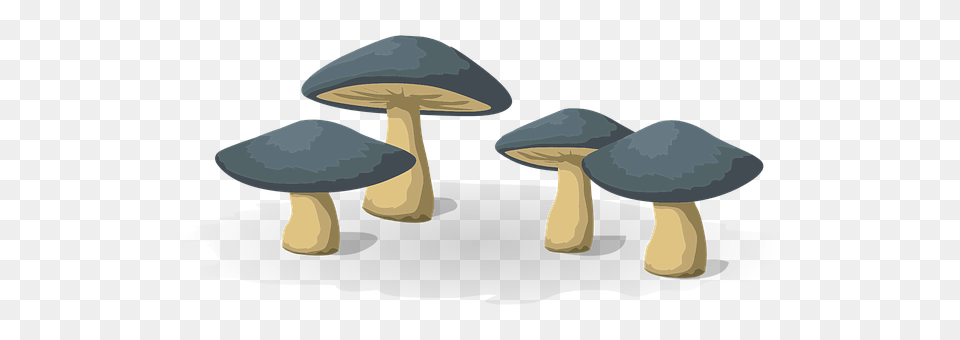 Mushrooms Fungus, Mushroom, Plant, Agaric Png