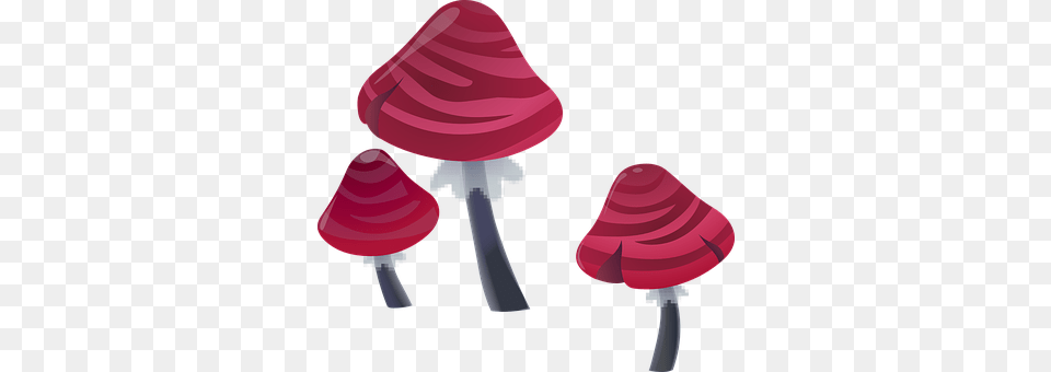 Mushrooms Candy, Food, Sweets Png Image
