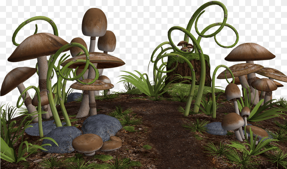 Mushrooms Along Path Fantasy Mushrooms, Fungus, Plant, Agaric, Mushroom Png Image