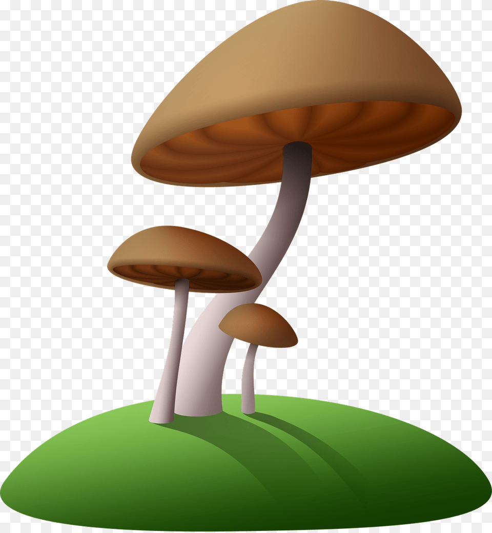 Mushrooms Brown Clipart, Fungus, Plant, Agaric, Amanita Png Image