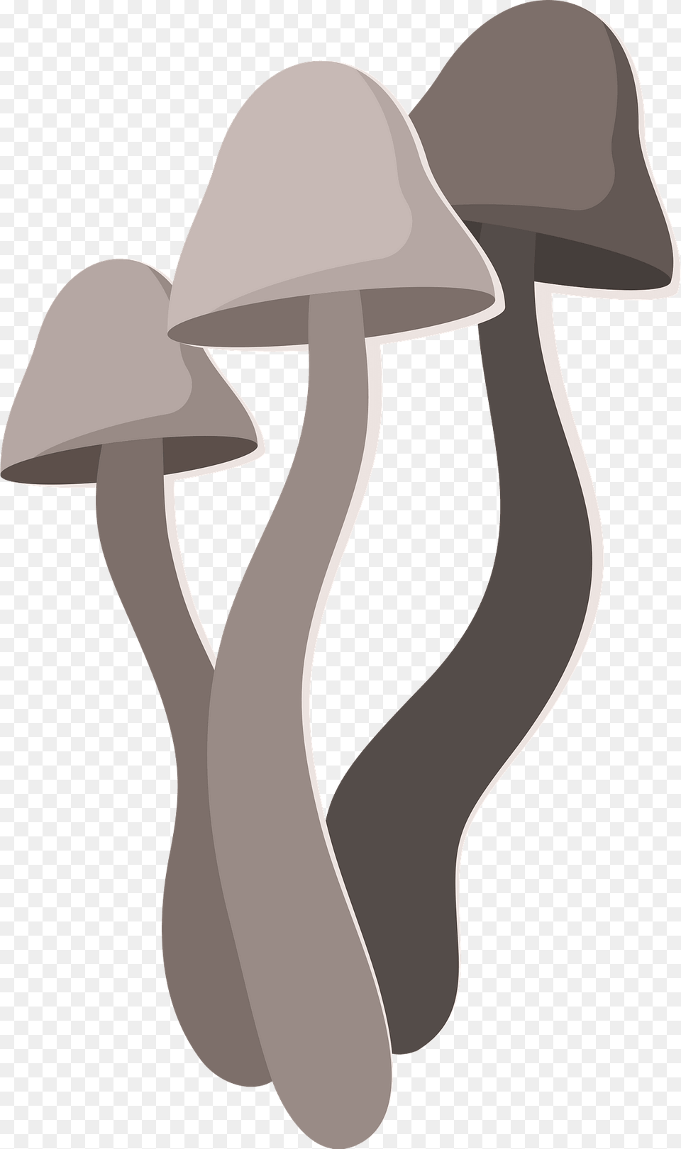 Mushrooms Clipart, Agaric, Fungus, Mushroom, Plant Png