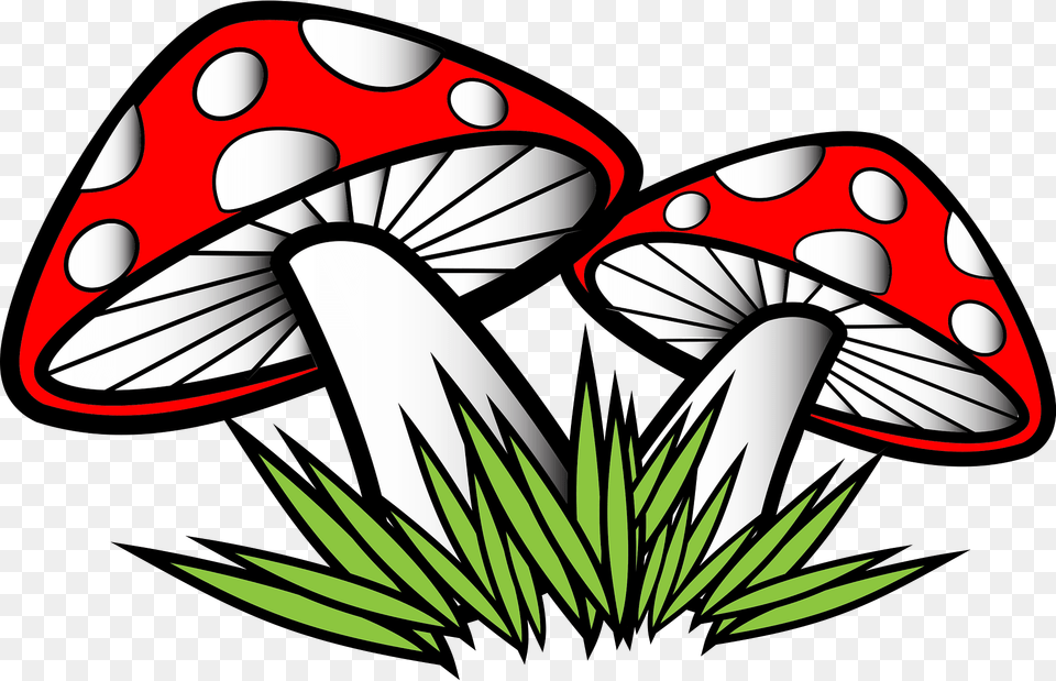 Mushrooms Clipart, Agaric, Fungus, Mushroom, Plant Free Transparent Png