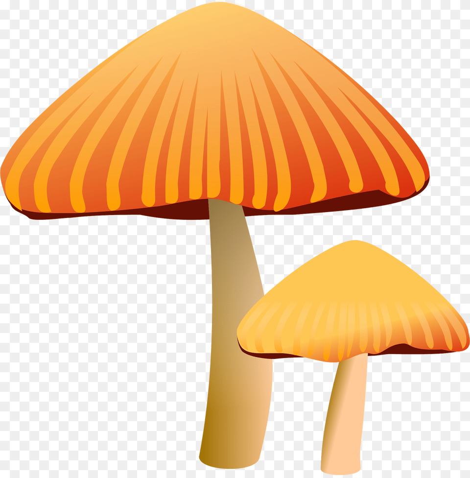 Mushrooms Clipart, Agaric, Amanita, Fungus, Mushroom Free Png