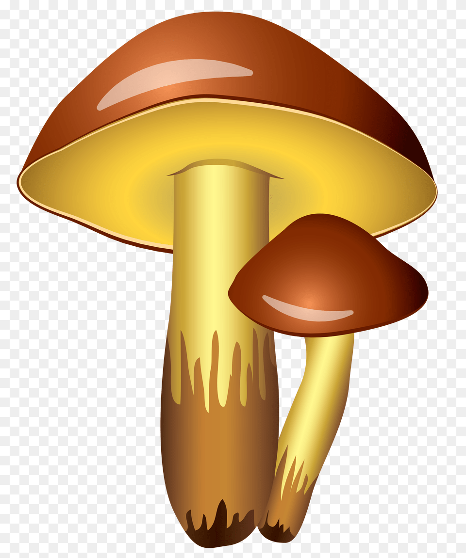 Mushrooms Clipart, Agaric, Fungus, Mushroom, Plant Png