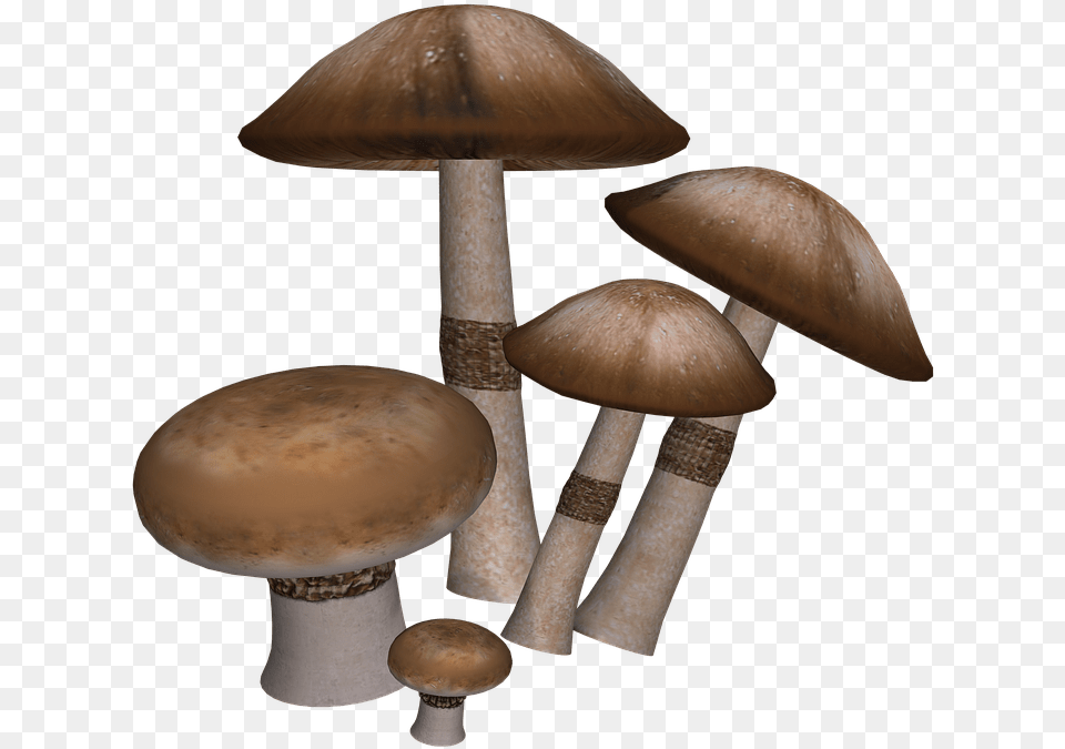 Mushrooms Collection Mushrooms Fungus, Plant, Agaric, Amanita Free Transparent Png