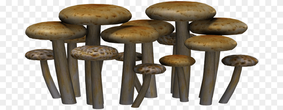 Mushrooms Fantasy Digital Art Fantasy, Fungus, Plant, Mushroom, Agaric Free Png