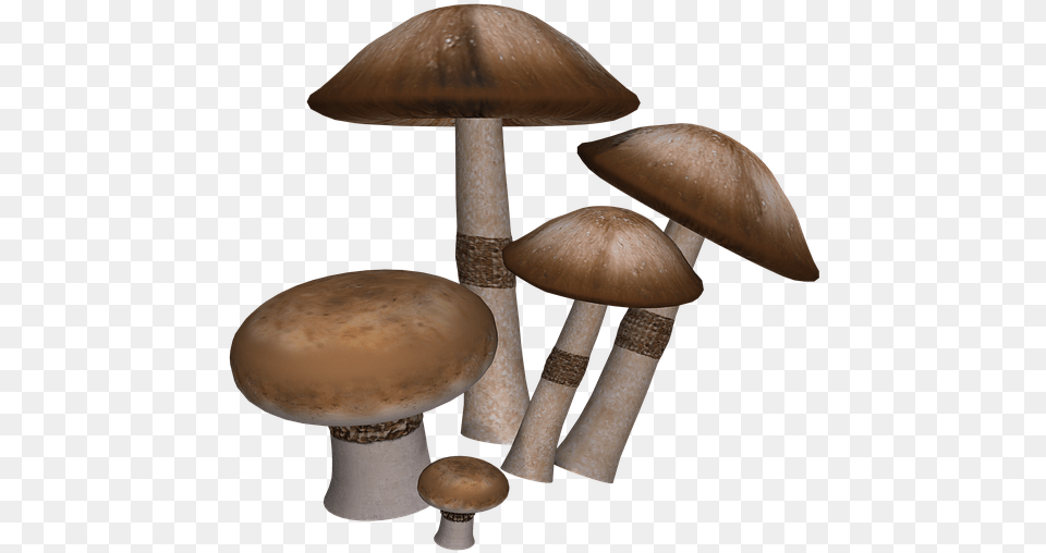 Mushrooms Fantasy Digital Art Isolated Mushroom Digital Art, Fungus, Plant, Agaric, Amanita Free Png