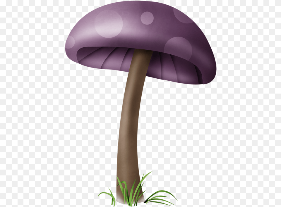 Mushrooms Illustrations Download Dessin Champignons Couleur, Agaric, Fungus, Mushroom, Plant Png Image