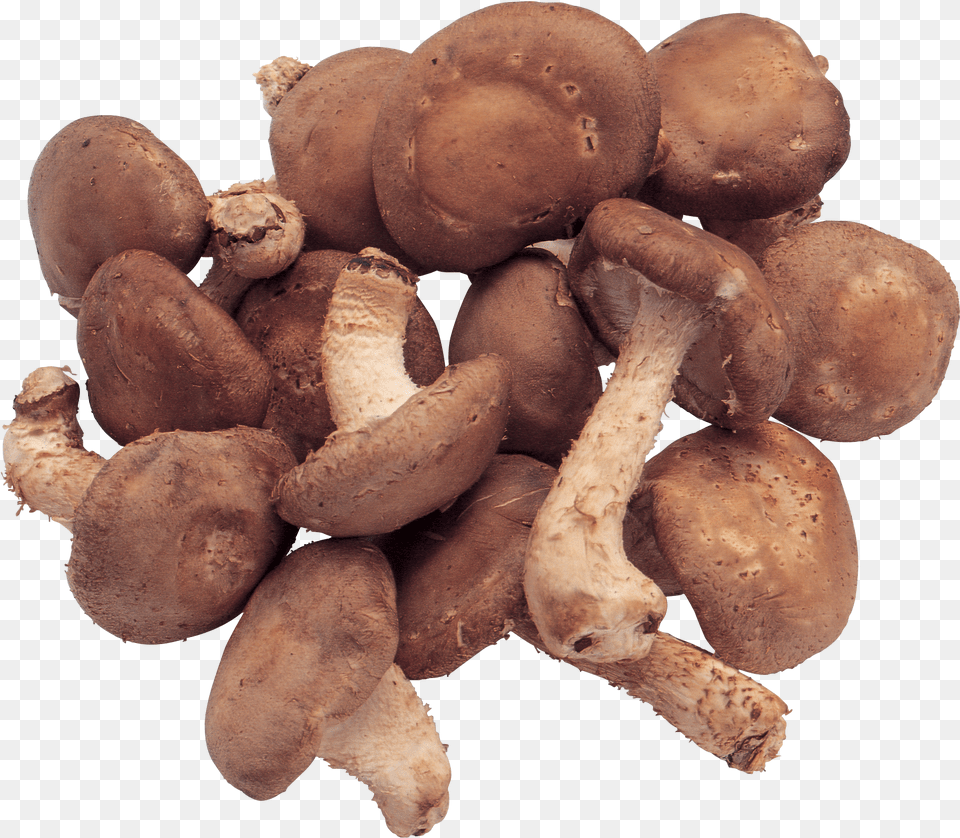 Mushrooms Image Shiitake Free Transparent Png