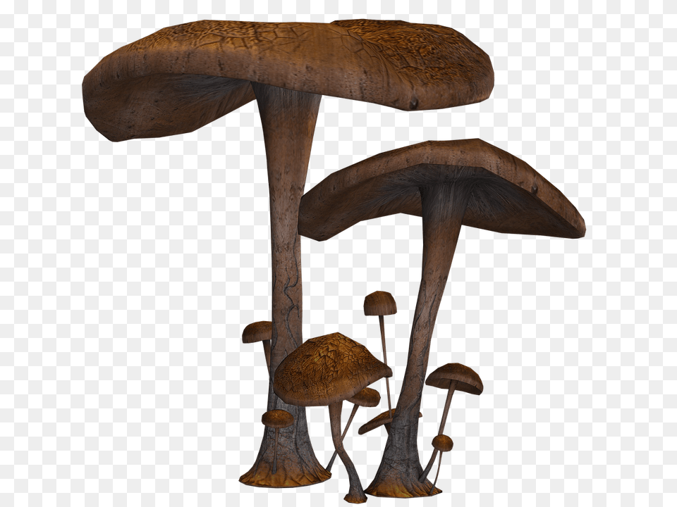 Mushrooms Large And Small, Fungus, Plant, Agaric, Amanita Free Png