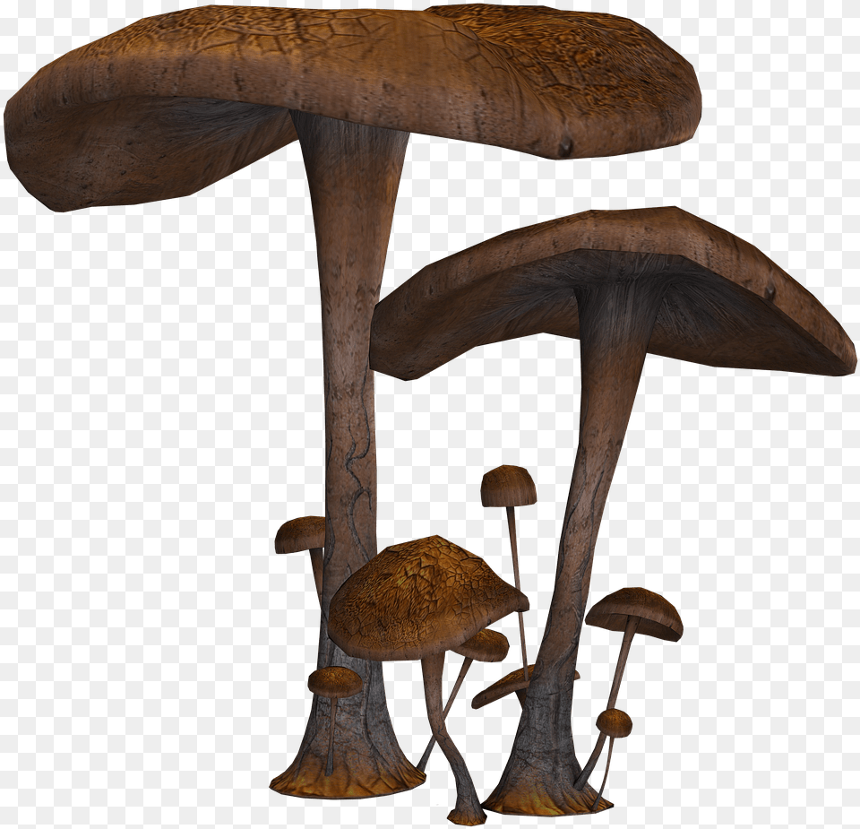 Mushrooms Large And Small Fantasy Mushrooms, Fungus, Plant, Agaric, Amanita Png