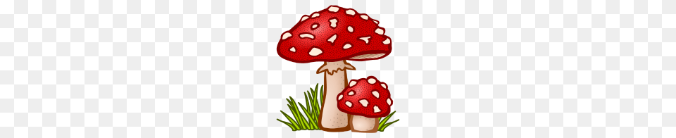Mushrooms Mushrooms Fungi Veggie Vegetables, Agaric, Fungus, Mushroom, Plant Free Png