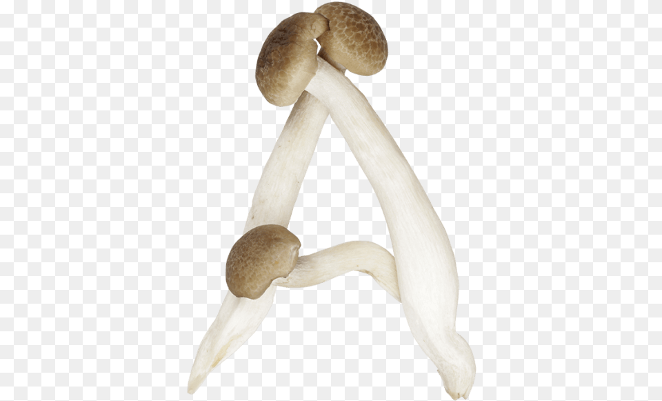 Mushrooms Shaped Like Letters, Agaric, Fungus, Mushroom, Plant Free Transparent Png