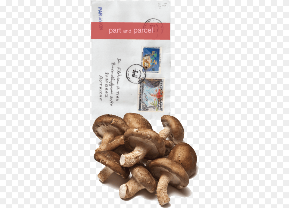 Mushrooms Shiitake Mushroom, Fungus, Plant, Agaric, Amanita Free Png