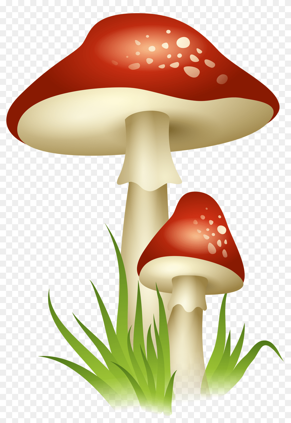Mushrooms Transparent, Agaric, Amanita, Fungus, Mushroom Png Image