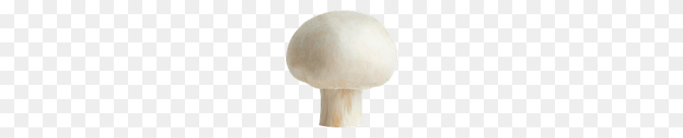 Mushrooms Truffles Loblaws, Fungus, Mushroom, Plant, Agaric Png Image