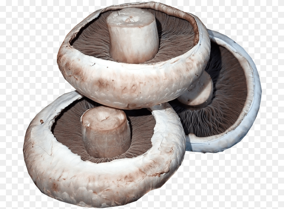 Mushrooms Vegetables Food Cooking Healthy Organic Shiitake, Agaric, Amanita, Fungus, Mushroom Free Png Download