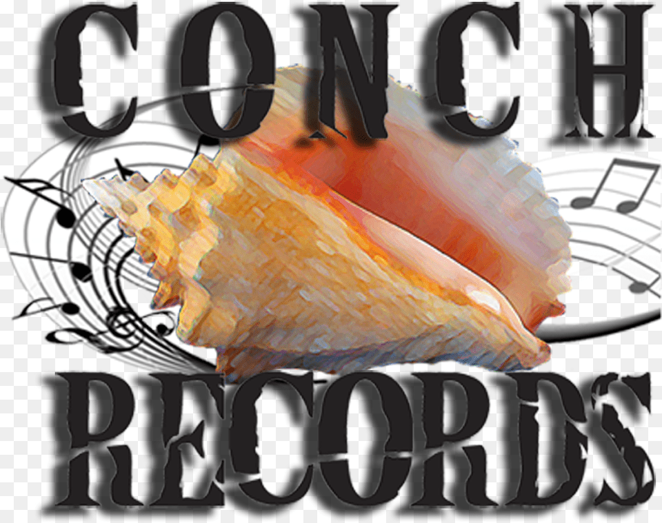 Music Amp Musicians Of The Florida Keys Salmon, Animal, Invertebrate, Sea Life, Seashell Free Transparent Png