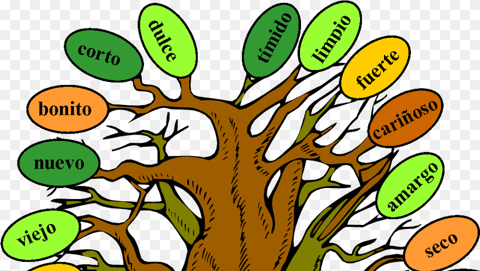 Music And Spanish Fun Tree Of Adjectives Model Of Adjective Tree, Plant, Vegetation, Person Free Png Download