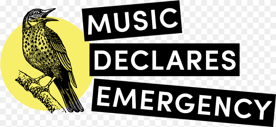 Music Declares Emergency Wins Impala Outstanding Music Declares Emergency, Animal, Beak, Bird, Blackbird Png Image
