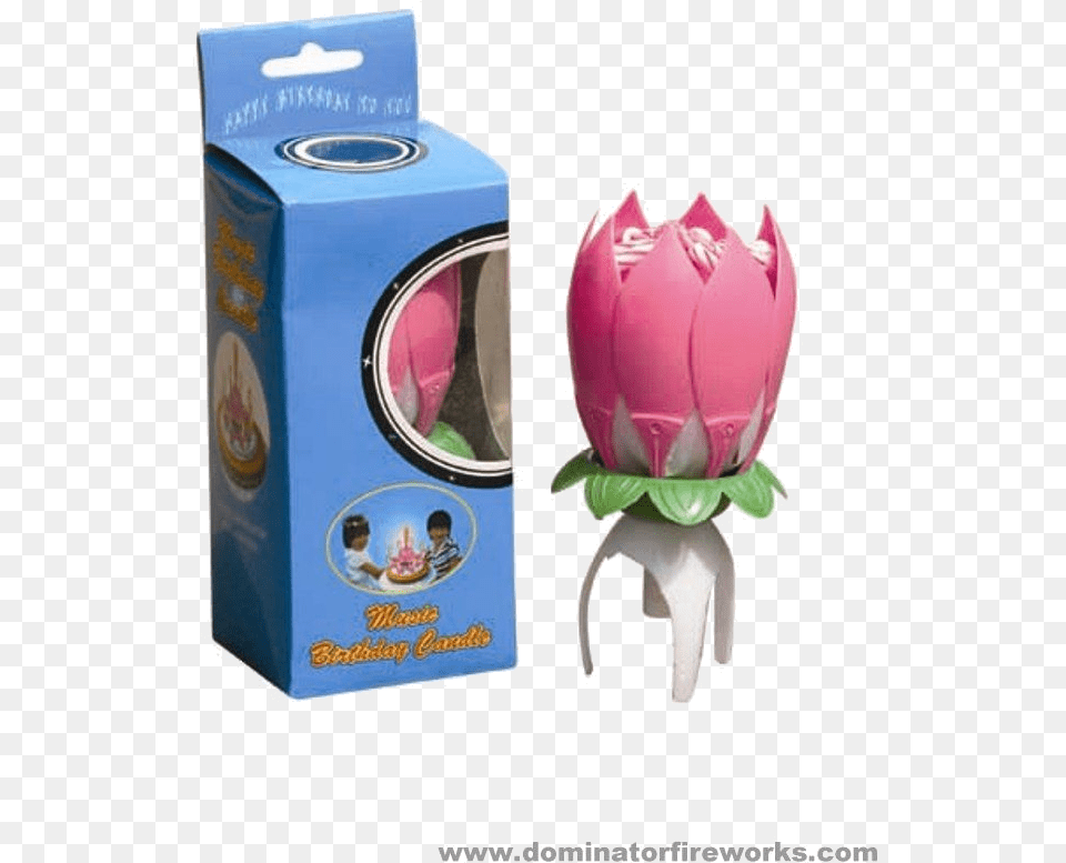 Musical Birthday Candle Yo Yo, Flower, Petal, Plant, Rose Png Image